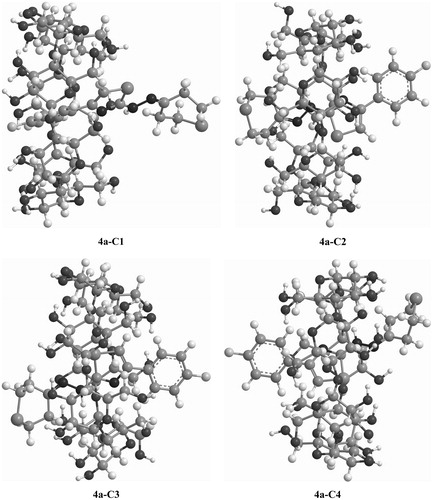 Figure 3. Optimized structures of 4a-β-cyclodextrin complex obtained within the DFT/B3LYP/6–31G** approximation.
