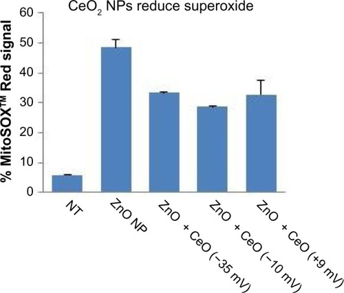Figure 12 Reduction in ZnO NP-induced mitochondrial superoxide generation by differently charged (−35, −10, and +9 mV) CeO2 NPs.