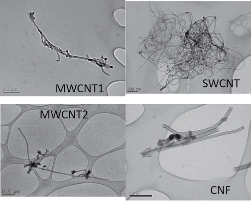 Figure 3. Typical images of airborne nanotube and nanofiber particles collected on TEM grids.