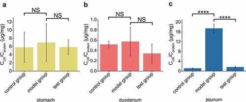 Figure 4. The recombinant EcN strain degraded UA in mouse jejunum. In test group, the optimized engineered EcN strain was oral administered into mice first (n = 6). After 1 hour, the UA was orally administered into these mice. In the positive control group, only UA was orally administered. In the negative control group, neither UA nor EcN was administered. After another hour, the UA levels in stomach (a), duodenum (b) and jejunum (c) were measured. Six parallel experiments were executed to obtain averages and calculate the STDEV. The one-way ANOVA method was used to calculate the p value.The Q values were calculated to get the FDR. Q > 0.05, ‘NS’ was marked; Q < 0.0001, ‘****’ was marked.