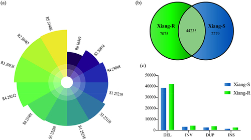 Figure 1. The identified SVs in the Xiang-R and Xiang-S groups. (a) Total SV numbers of these 12 individuals in two groups. (b) The venn diagram showing the overlapped SVs between two groups. The Xiang-R group was shown in green colour and Xiang-S group in blue. The intersection of two groups was showed in light green. (c) Types of identified SVs in the Xiang-R and Xiang-S groups. The Xiang-R group was present in green columns and Xiang-S group in blue.