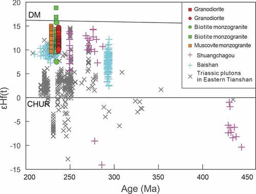 Figure 9. Correlations between Hf isotopic compositions and U-Pb zircon ages of from the Baishandong pluton in the Eastern Tianshan. CHUR = chondritic uniform reservoir; DM = depleted mantle, Data of the Neoproterozoic granites from Chang et al. (Citation2018) .