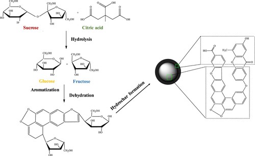 Figure 6. Schematic representation of CMSs prepared by hydrothermal carbonization of sucrose.