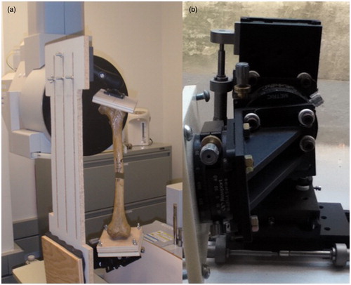Figure 2. (a) A dried femur specimen mounted in the jig and secured within the CBCT scanner. The proximal end is mounted to the ball joint and the distal end to the precision stages. (b) A close-up of the stages used to create the malalignment conditions.