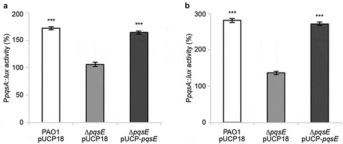 Figure 3. Nitrofurazone and erythromycin estolate increase PpqsA activity only in a pqsE-proficient background. Effect of 100 µM nitrofurazone (a) or 50 µM erythromycin estolate (b) on PpqsA promoter activity in the indicated strains. Promoter activity is reported as percentage with respect to the corresponding solvent vehicle control sample, considered as 100%. The average of three independent experiments is reported with SD. Statistical significance relative to the untreated control is indicated with asterisks: ***, p < 0.001 (ANOVA).