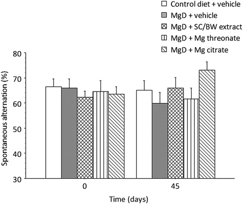 Figure 8. Spontaneous alternation (%) before (day 0) and after (day 45) treatment with different magnesium compounds. n = 14–15 per group. Data presented as mean ± SEM.