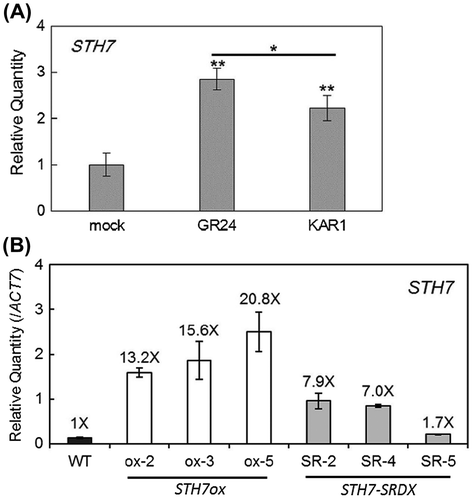 Fig. 2. Quantitative RT-PCR analysis of STH7 expression level.