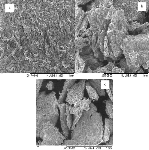 Figure 2. SEM analysis of V. amygdalina leaf before extraction (a); after MAE (b); after Soxhlet extraction (c).