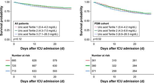 Figure S2 Kaplan–Meier survival curve of 28-day mortality.Abbreviations: ICU, intensive care unit; PSM, propensity score matching.