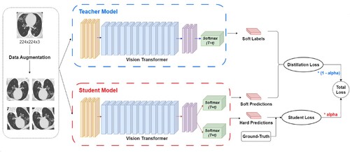 Figure 1. The overview of the proposed KDViT model.