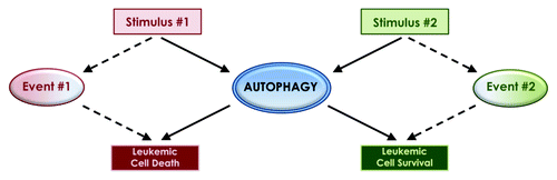 Figure 1. The dual role of autophagy as a cell survival or cell death mechanism may be defined by the type of the inducing stimuli and/or simultaneously activated pathways and cellular events.