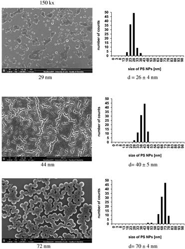 Figure 3. SEM images of nanostructures built of PS-NPs of different sizes (left column). PS-NPs size distribution (right column).