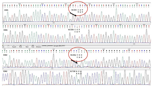 Figure 2 Sequencing result of IDH1/2 in two different patients. A mutation of IDH1R132 was detected at position 325 C>T of exon 4 replacing a (CGT) with (TGT). Another mutation on IDH2R172 was positioned at 110 G>A of exon 4 replacing (CGT) with (CAT).