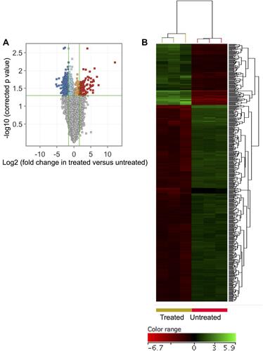 Figure 2 ZnO NPs induced significant changes in the transcriptomic profile of DLBCL cells. Volcano plot demonstrates differentially expressed genes (DEGs: FC≥3; p≤0.008; corrected p≤0.05) in the ZnO NPs-treated DLBCL cells compared with untreated DLBCL cells (A). Hierarchical cluster analysis with heatmap presentation were done for the DEGs (B). The color range represents the normalized signal value of probes (log2 transformation and 75 percentile shift normalization).