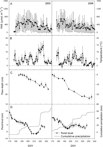 FIGURE 2 (A) Photosynthetically active radiation (PAR). Day of year (DOY). (B) Air temperature. (C) Thaw depth. (D) Seasonal water level of ponds inside the lake bed and cumulative rainfall. The values of the pond levels represent the deviation from the seasonal mean. Error bars represent ± one standard deviation for PAR and temperature, and ± one standard error of the mean for thaw and pond level for the growing seasons of 2005 and 2006.