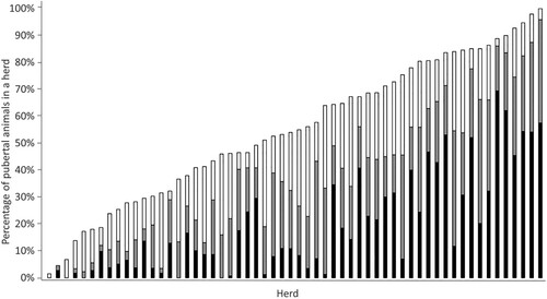 Figure 2. Cumulative percentage of heifers (n = 5,004) within each of the 58 heifer groups that had elevated blood progesterone (>1 ng/mL) indicating puberty attained by visit 1 (black; heifers approximately 10 months old), visit 2 (grey; heifers approximately 11 months old) or visit 3 (white; heifers approximately 12 months old).