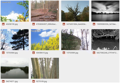 Figure 3. Photographs mislabelled by the DT method for identifying human impact in a landscape.