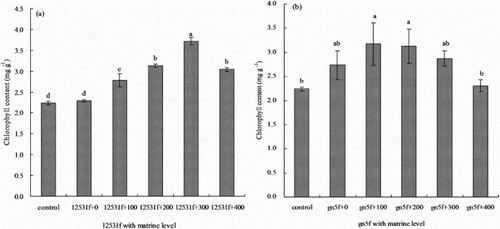 Figure 5. Effect of matrine added into fluorescent tagged rhizobia (12531f and gn5f) on alfalfa seedling leaf chlorophyll content. (a) matrine added into 12531f; (b) matrine added into gn5f. control: inoculated with sterile distilled water, 12531f + 0 to 12531f + 400: 0 mg L−1 to 400 mg L−1 matrine added into 12531f, gn5f + 0 to gn5f + 400: 0 mg L−1 to 400 mg L−1 matrine added into gn5f, respectively. Each value is the mean of five replicates and vertical bars give standard errors (SE) of the means. Different lowercase letters indicating that the mean are statistically different according to the Duncan test (P  <  0.05).