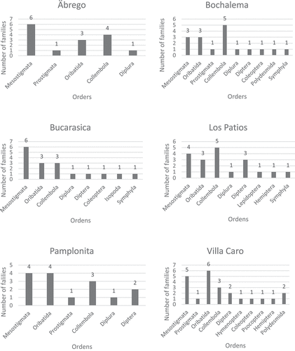 Figure 2. Number of mesofauna families present in the different orders per municipality.