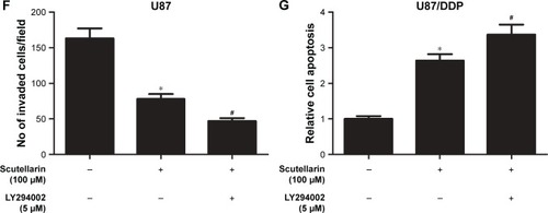 Figure 6 Scutellarin prevented the activation of PI3K/AKT/mTOR pathway in glioma cells.Notes: The protein levels of p-PI3K, p-AKT, and p-mTOR were analyzed by Western blot. (A) Representative image of Western blot. (B–D) Quantification analysis of p-PI3K/PI3K, p-Akt/Akt and p-mTOR/mTOR. U87 cells were treated by scutellarin with or without LY294002 for 24 hours. (E) Cell migration was measured using transwell assay. (F) Cell invasion was measured using matrigel-coated transwell inserts. (G) Cell apoptosis was measured using a histone/DNA ELISA detection kit. *P<0.05 vs control. #P<0.05 vs scutellarin group. Data are represented as mean ± SD of three independent experiments.