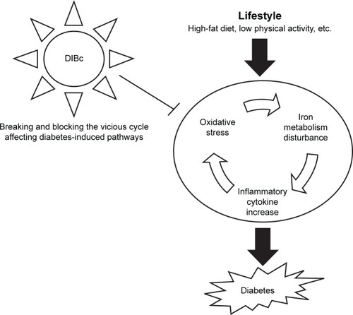 Figure 9 The schema of the proposed mechanism for the inhibitory effects of DIBc on diabetes.