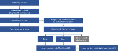 Figure 1 Model structure.