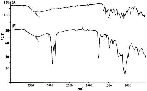 Figure 3. FTIR spectra of (A) pure KAE and (B) KAE-LC NPs.