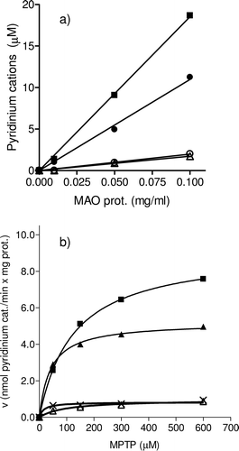 Figure  3.  (A) Concentration of pyridinium cations (MPDP+ and MPP+) (μM) determined by HPLC and produced from MPTP oxidation in presence of increasing concentrations of recombinant human MAO-B (MPDP+, ▪;MPP+, o) and MAO-A (MPDP+, •; MPP+ Δ). Incubations (37°C, 40 min) and MPTP (200 μM). (B) Michaelis-Menten kinetics for the formation of pyridinium cations determined by HPLC, and corresponding to the oxidation of MPTP catalyzed by MAO-B (MPDP+, ▪;MPP+, Δ) and MAO-A (MPDP+, ▴; MPP+, x). Incubations (37°C, 40 min) contained MAO enzymes (0.05 mg/mL protein fraction).
