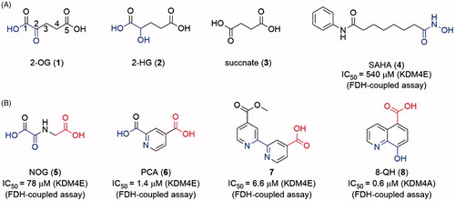 Figure 5. (A) Structures of endogenous substances and SAHA; (B) scaffolds of “generic” 2-OG-dependent inhibitor.