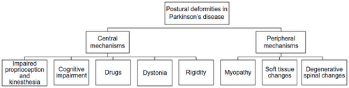 Figure 1 Pathophysiological mechanisms responsible for development of Pisa syndrome in Parkinson’s disease.