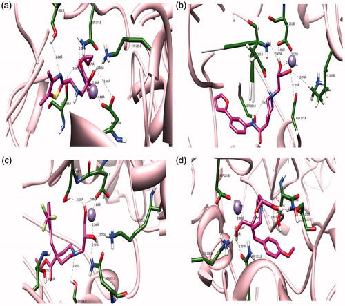 Figure 4. The three dimensional binding mode analysis of most active and least active compounds into the active binding site of PfDXR (a) Hit compound 1; (b) Hit compound 2; (c) Hit compound 13; (d) Hit compound 14.