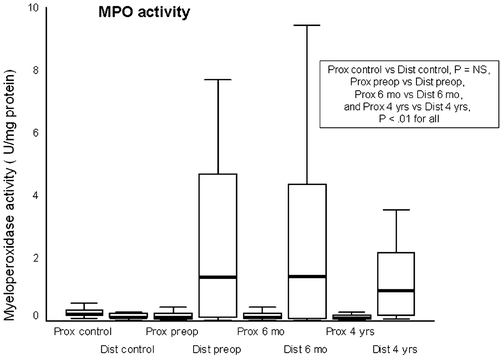 Figure 2 Myeloperoxidase activity(MPO activity) in proximal and distal esophagus of controls (Prox control and Dist control) and patients preoperatively (Prox preop and Dist preop), at 6 months (Prox 6 mo and Dist 6 mo), and at 4 years (Prox 4 yrs and Dist 4 yrs) of follow‐up. Plots as in Figure 1.