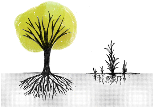 Fig. 6. A change of metaphors: in place of a tree, with branches extending out from a common trunk, we now find a rhizomatic root, lacking a centre.