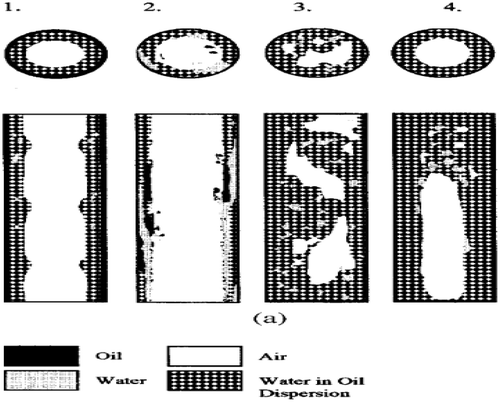 Figure 23. Oil-dominated flow regimes 1–4 by Woods et al. (Citation1998).