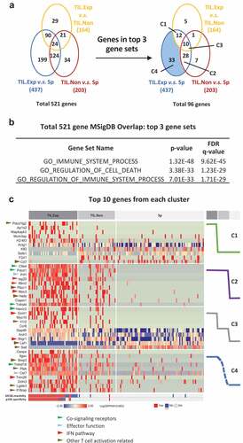 Figure 6. T cell activation gene signature derived from expanded TILs by single-cell RNAseq.
