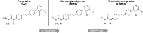 Figure 1 Formation of the main human metabolites of cariprazine.Citation24