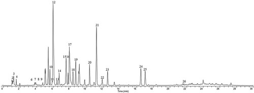 Figure 5. Full ms chromatogram on negative-ion polarity mode.