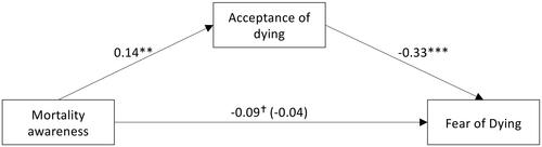 Figure 3. Results of the mediation analysis for fear of dying. Unstandardized regression coefficients are given. The direct effect controlled for the mediation (bc’) is presented in parentheses. Mortality awareness represents the time × group-interaction here. Significance levels: †p < .10, **p < .01, ***p < .001.
