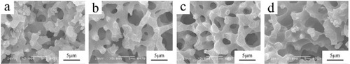 Figure 5. Morphologies of the cross section of the skeletons calcined at different temperatures. (a) 800 °C; (b) 900 °C; (c) 1000 °C; (d) 1100 °C.