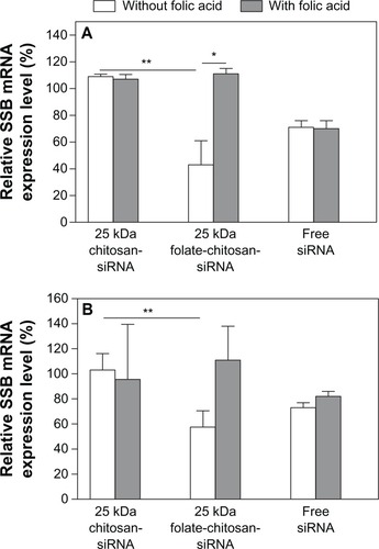 Figure 7 Folic acid competition study. 5 μg free siRNA SSB or chitosan-siRNA or folate-chitosan-siRNA complexes containing an equivalent of 5 μg of siRNA SSB incubated with (A) HeLa and (B) OV-3 line cells with or without 20 μg free folic acid.Notes: SSB gene expression is measured with real-time RT-PCR and compared with nontreated cells, which are considered as 100%. Statistical significance was assessed by the unpaired Student’s t-test, *P < 0.05; **P < 0.01.Abbreviations: RT-PCR, reverse transcription-polymerase chain reaction; SBB, Sjogren syndrome antigen; siRNA, small interfering RNA.