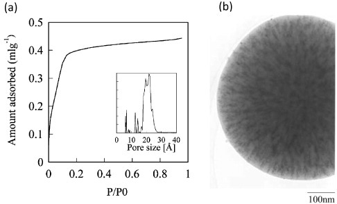 Figure 2. (a) Argon adsorption isotherm of the monodisperse spherical nanoporous silica particles (inset: a pore size distribution calculated by the non-localized density functional theory) and (b) TEM image of a platinum-incorporated nanoporous silica particle. (Reprinted with permission from [Citation53], The Royal Society of Chemistry © 2003.)