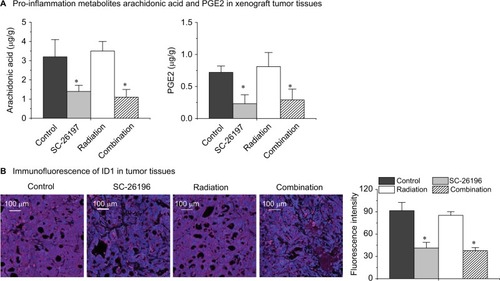 Figure 5 The D6D inhibitor reversed tumor radioresistance by suppressing the PGE2-ID1 pathway.Notes: (A) HPLC/MS quantification of the pro-inflammation metabolites arachidonic acid and PGE2 in tumor tissues. (B) Representative images for ID1 expression (stained in red) in tumor tissues. Cell nuclei were counter stained with DAPI. For quantification, the fluorescence intensities of ID1 staining were calculated. The images were acquired with a Zeiss Axio Imager M2 microscope with a magnification of 200×. All the quantification data represent the mean ± SD with eight mice per treatment group. *A significant difference vs control with P<0.05.Abbreviations: D6D, delta-6-desaturase; PGE2, prostaglandin E2.