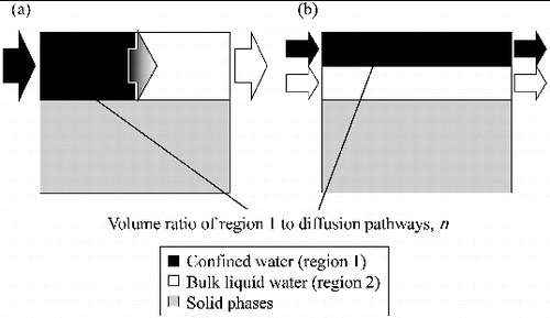 Figure 9. Schematic diagrams of the simplified models shown in Figure 8: (a) the serial diffusion model and (b) the parallel diffusion model. The arrows indicate the direction of HTO diffusion through the model.