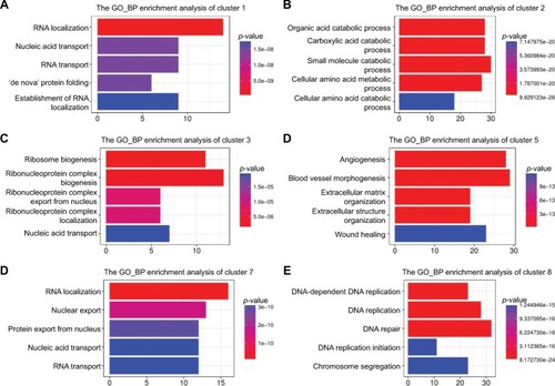 Figure 4 Functional enrichment analysis (GO:BP) of DEGs from six clusters in HCC.Abbreviations: BP, biological process; DEGs, differentially expressed genes; GO, Gene Ontology; HCC, hepatocellular carcinoma.