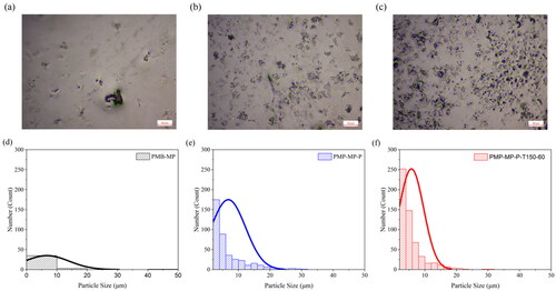 Figure 7. Micrographs of (a) PMB–MP, (b) PMB–MP-P, and (c) PMB–MP-P–T150–60 mixtures; particle size analysis and distribution for (d) PMB–MP, (e) PMB–MP-P, and (f) PMB–MP-P–T150–60 mixtures.