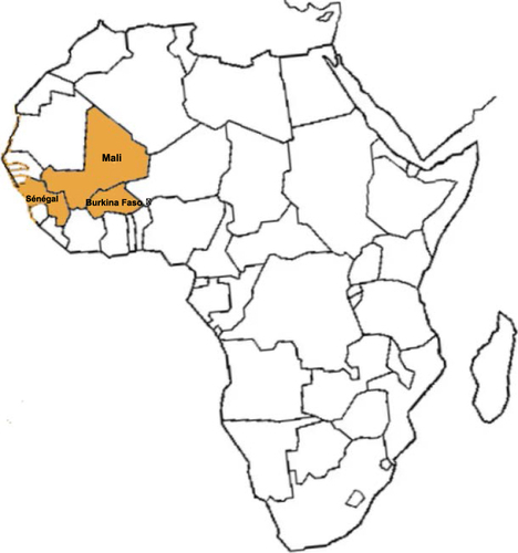 Figure 2 Three countries accounting for more than 80% of the SMC studies in West Africa.