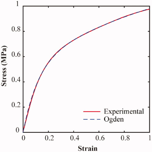 Figure 3. An Ogden (N = 2) constitutive model was fitted to the experimental uniaxial tensile test results of the polymer.