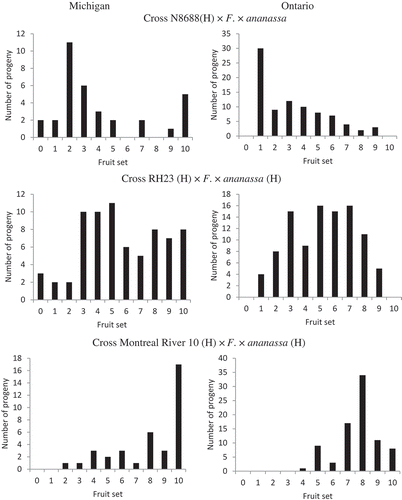 Figure 2. Fruit set on a scale of 1–10 in progeny of crosses of hermaphrodite F. virginiana genotypes N8688, Montreal River 10, and RH23 with five hermaphrodite F. × ananassa genotypes planted at Becker, MN and Simcoe, ON. All progeny produced functional stamens.