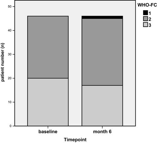 Figure 3 The number of patients in different WHO function class (WHO-FC) in baseline and month 6.