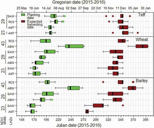 Figure 6. A NDVI strata-based calendar of the study area for planting and expected harvesting dates using interview data of 2015. The box plot is based on median.